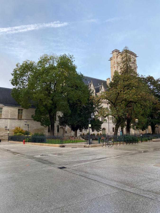 Benigne Malyon Apartment Dijon Bagian luar foto