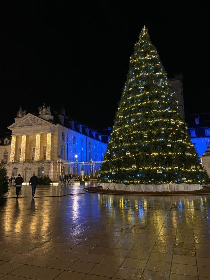 Benigne Malyon Apartment Dijon Bagian luar foto